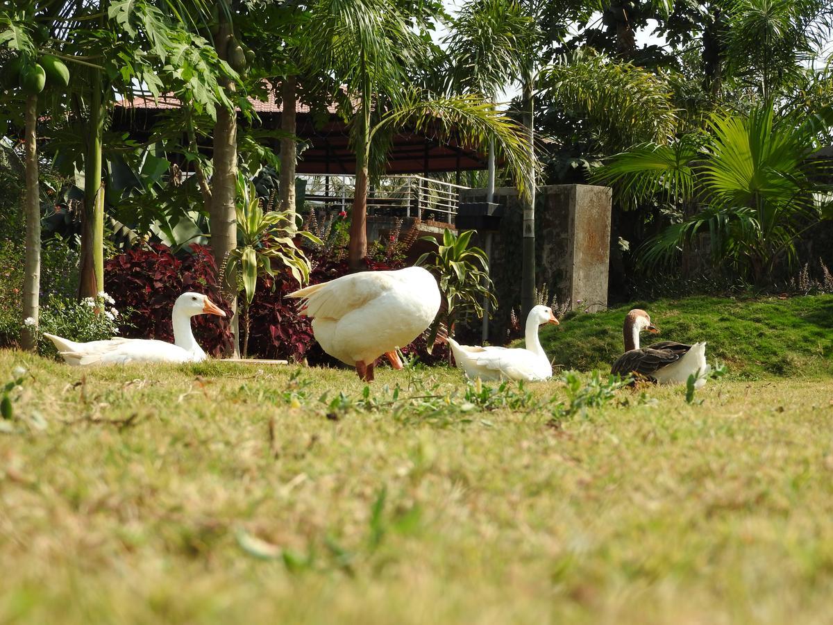 Nature Leap Resort Igatpuri Exterior photo